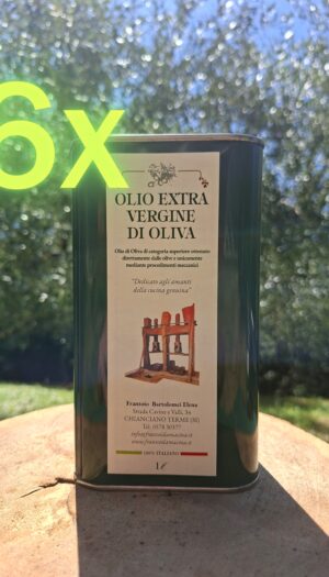 6 Lattine da 1 Lt - Olio Blend 2025 Extravergine di Oliva (€19 a Lt)