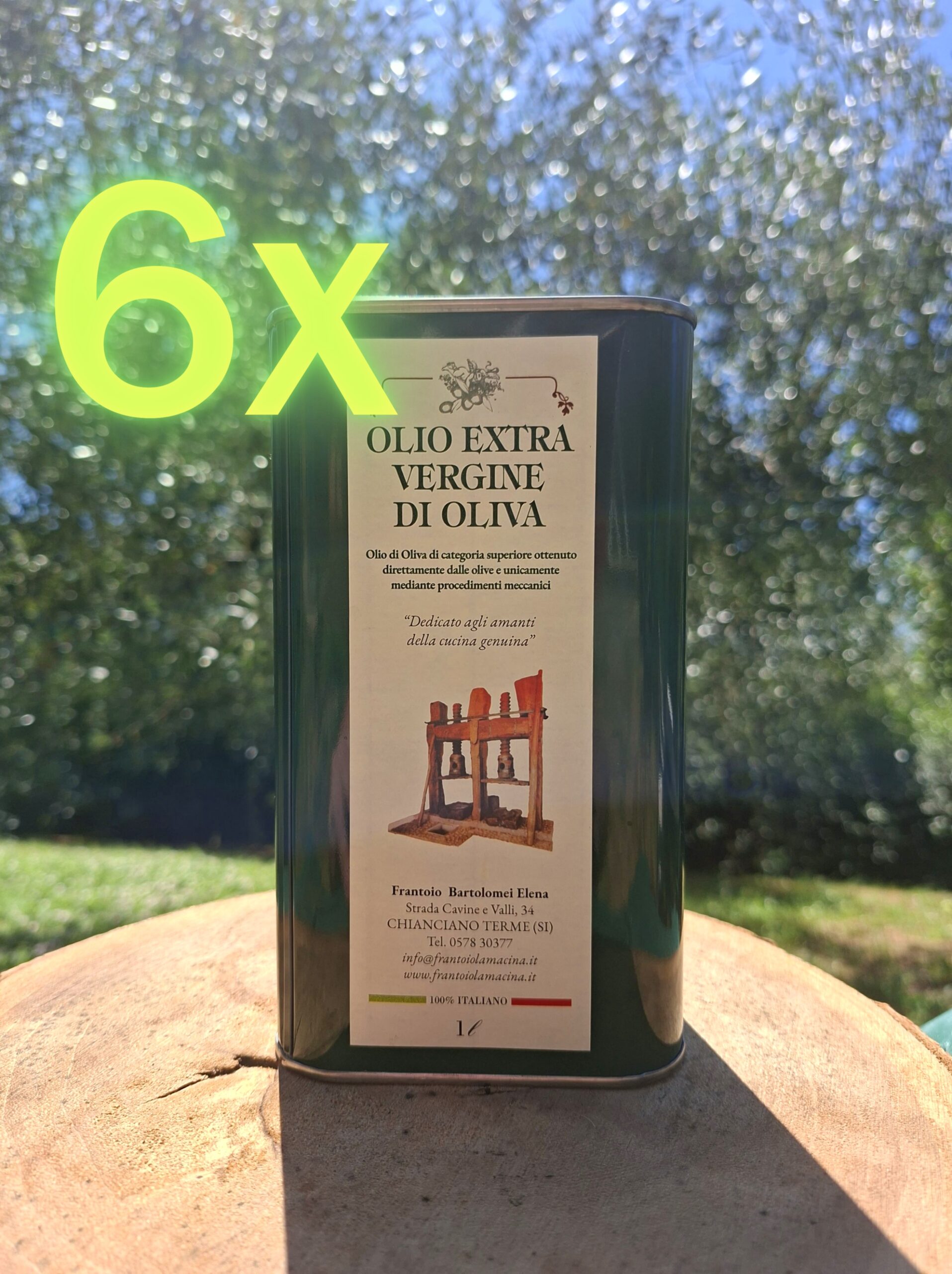 6 Lattine da 1 Lt - Olio Blend 2025 Extravergine di Oliva (€19 a Lt)