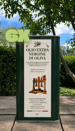 6 Lattine da 1 Lt - Olio BLEND 2025 Extravergine di Oliva (€19 a Lt)