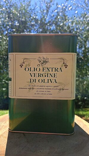 Olio 2024 Lattina 3 Lt Extravergine d'Oliva (€ 16,50 al Lt)