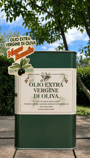 Lattina 3 Lt - Olio NUOVO 2026 Extravergine d'Oliva (€19 al Lt)