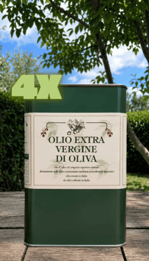 4 Lattine da 3 Lt - Olio BLEND 2025 Extravergine di Oliva (€16.6 al Lt)