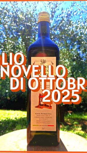 - Olio NOVELLO di Ottobre 2025 - Bottiglia 1 Lt - Olio EVO Ottobre 2025
