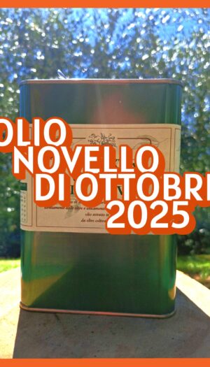 – Olio NOVELLO di Ottobre 2025 – Lattina da 3 Lt (20€ al Lt) – Olio EVO Ottobre 2025