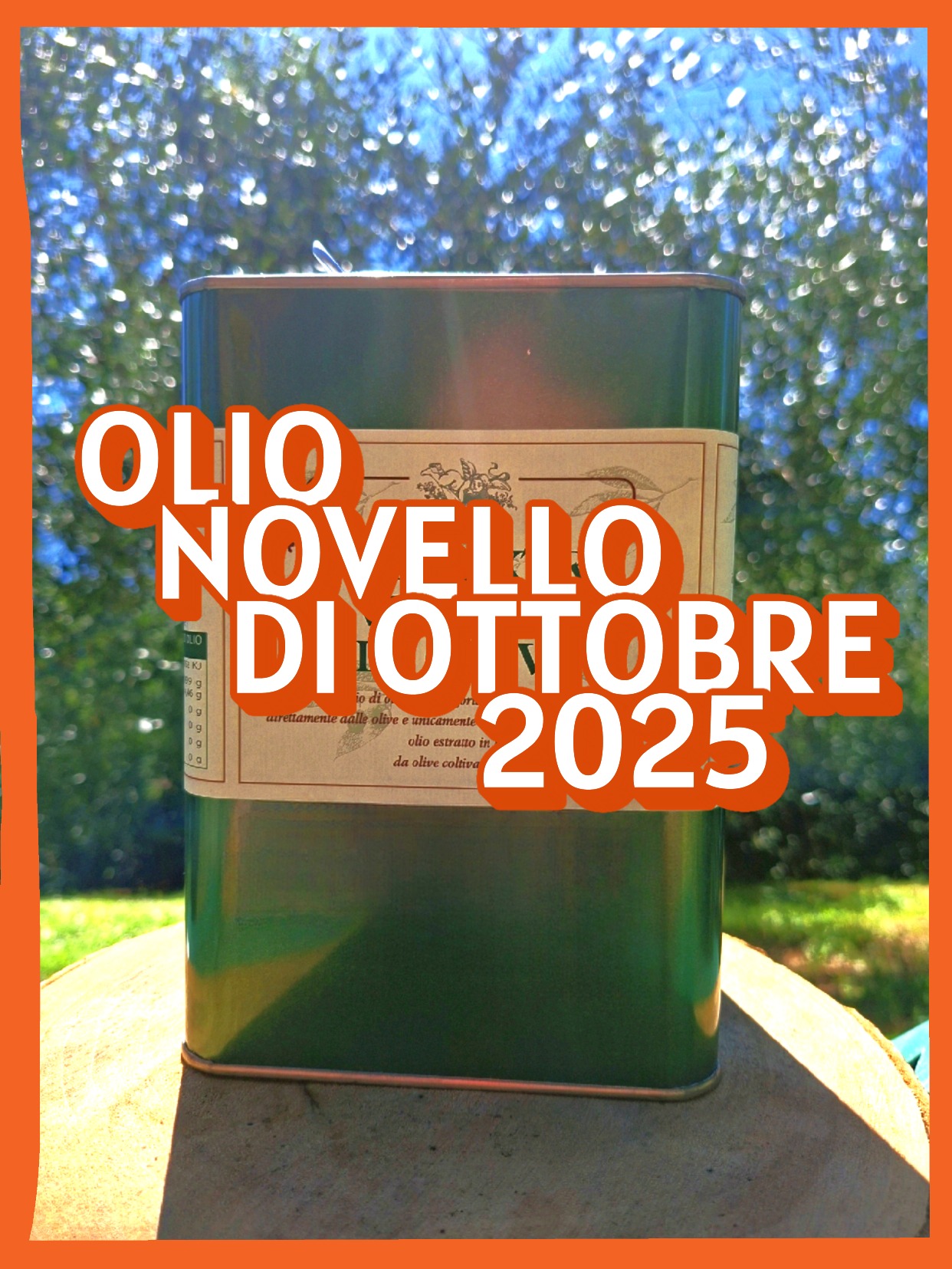 – Olio NOVELLO di Ottobre 2025 – Lattina da 3 Lt (20€ al Lt) – Olio EVO Ottobre 2025